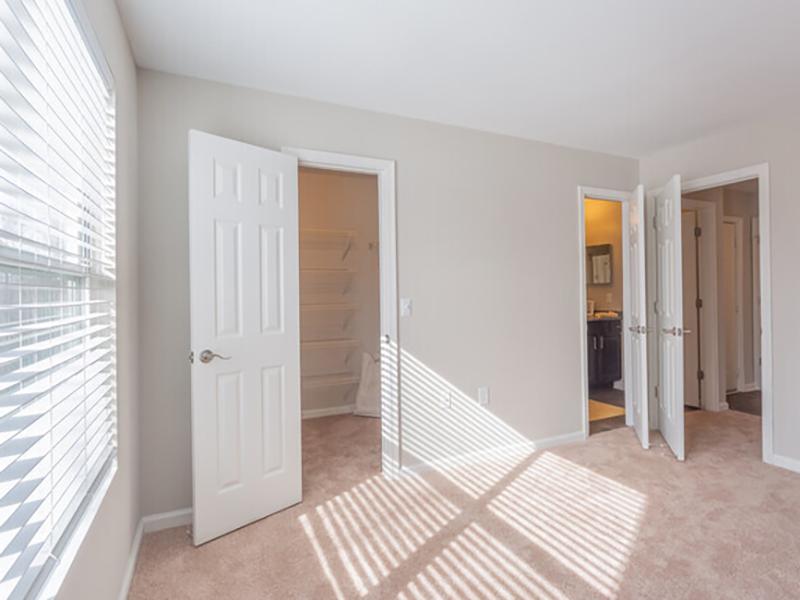 Carpeted model bedroom with attached walk-in closet and bathroom at Bridgewater at Town Center Apartments in Hampton.