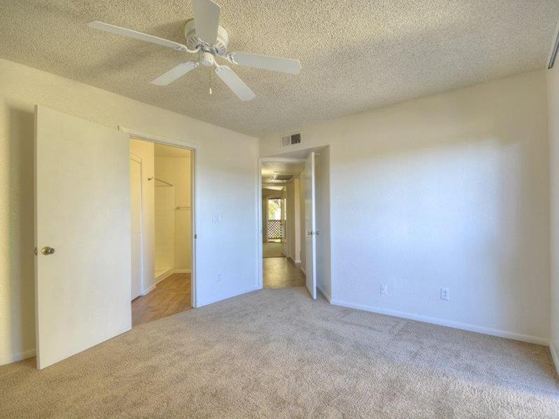 Dana Park Apartments in Mesa, AZ 85204 | Market Apartments