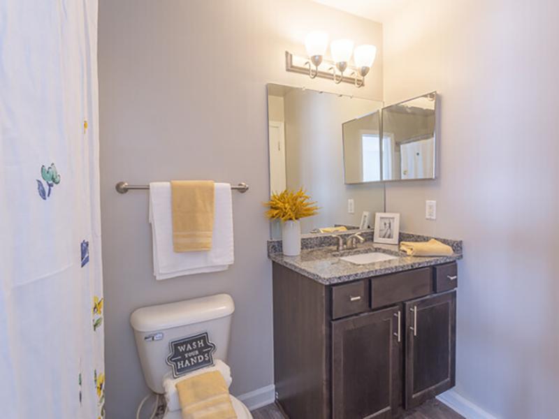 Model bathroom with tub shower, toilet and vanity sink at Bridgewater at Town Center Apartments.