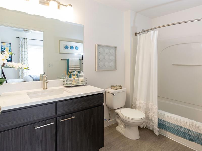 Renovated Bathroom Overview | Wilshire Place
