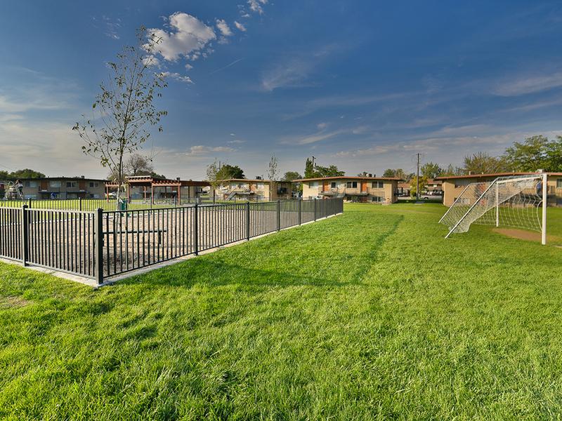 Dog Park | Pet Friendly Apartments | Park Central