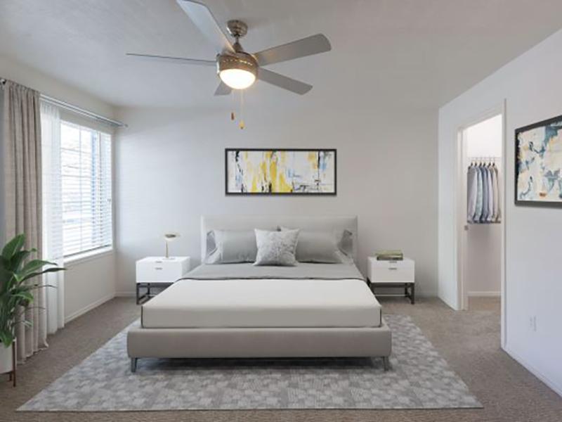 Master Room | Woodgate Apartments