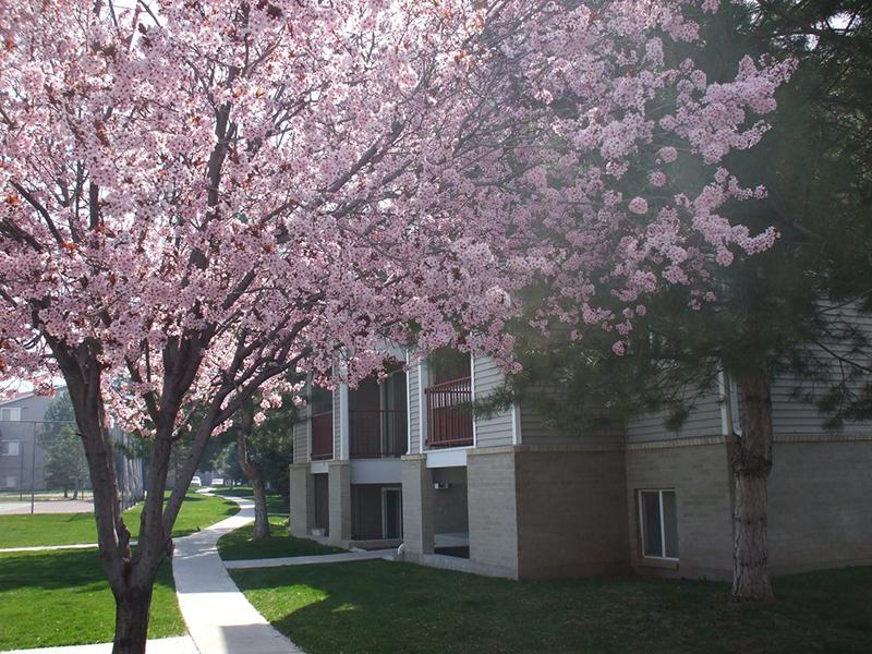 Exterior | Village Park Apartments