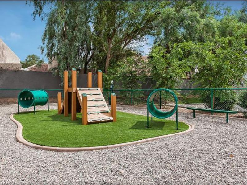 Dog Park | Apartments in Tempe, AZ