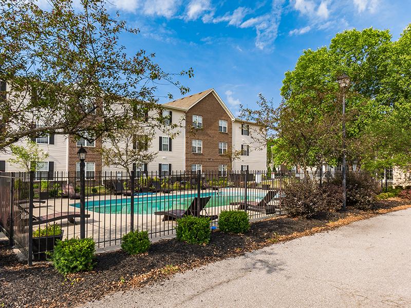 Swimming Pool | Enclave at Albany Park