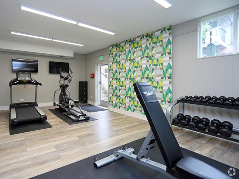 Gym | Forest Cove Denver Apartments