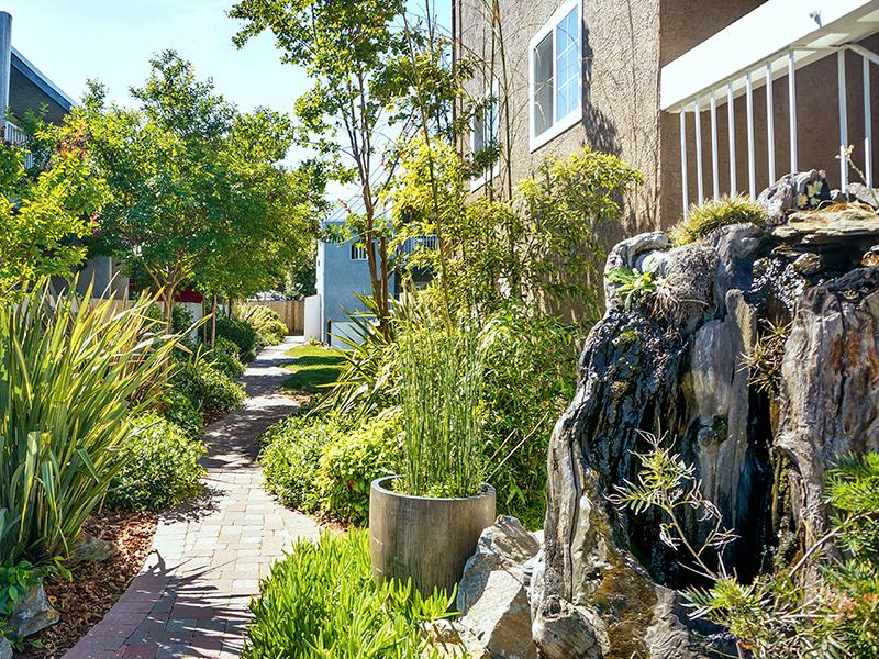 Garden Pathway - Sun Valley Apts - CA