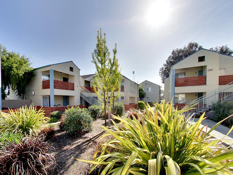 Building Exterior | Hampshire Apartments in Redwood City, CA