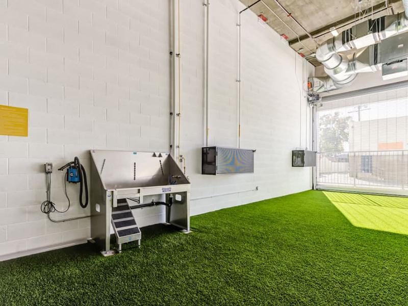 Dog Wash | The Link Apartments in Glendale, CA