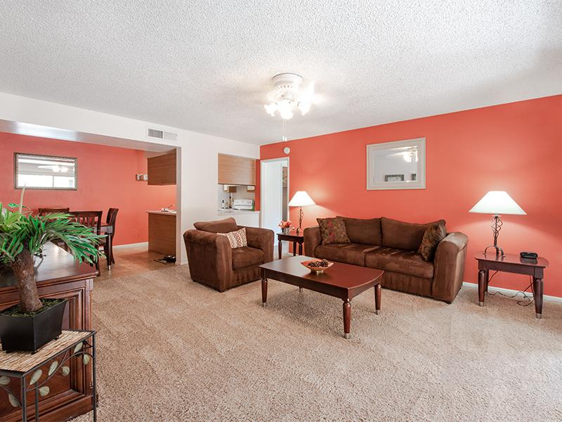 Living Room | Ventana Palms