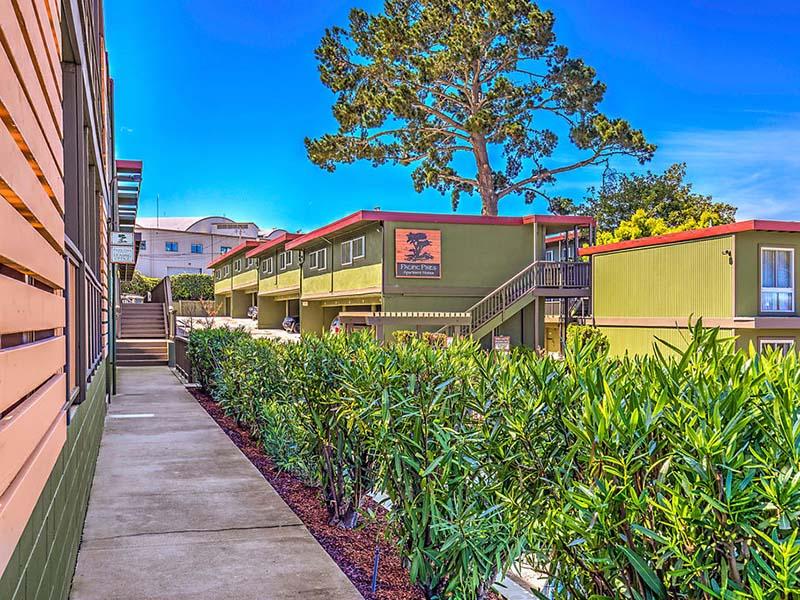 Patio | Pacific Pines