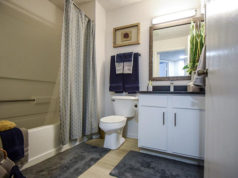 Bathroom | Enclave at Albany Park