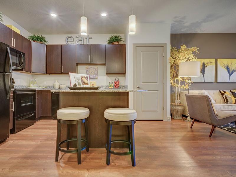 Dry Creek At East Village Apartments In Sandy Ut 84070 Market Apartments