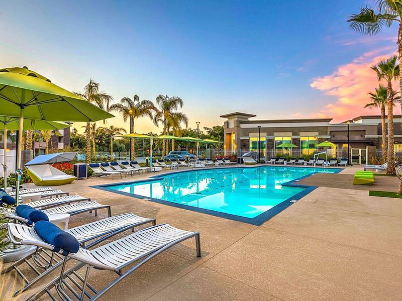 Swimming Pool | Tempo at Riverpark