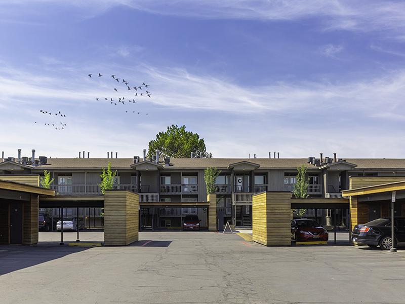 Apartment Exterior | The Shenandoah