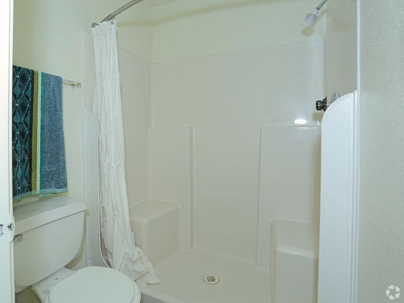 Master Bathroom | 2 Bathroom Apartments