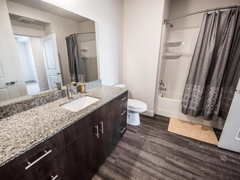 Bathroom | Joule Plaza