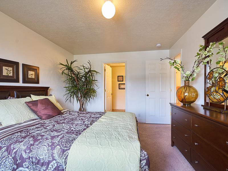 Spacious Bedrooms | Willow Cove Apartments
