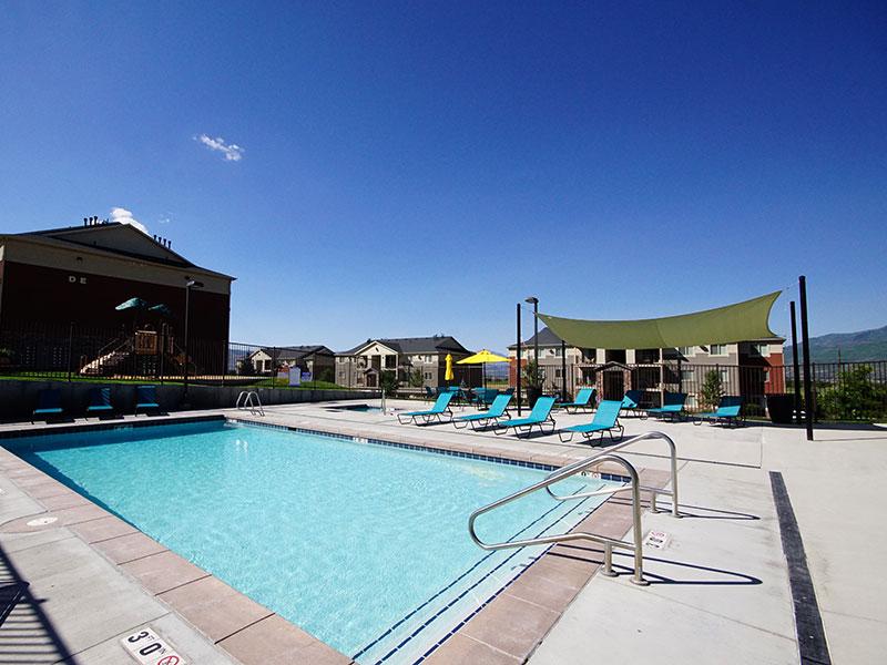 Swimming Pool Area