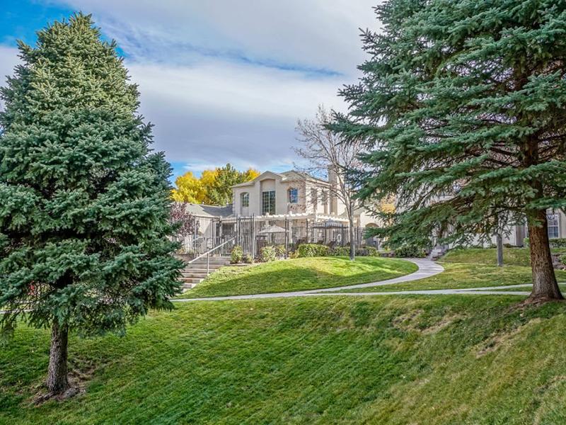 Spacious Fields | Pet Friendly Apartments