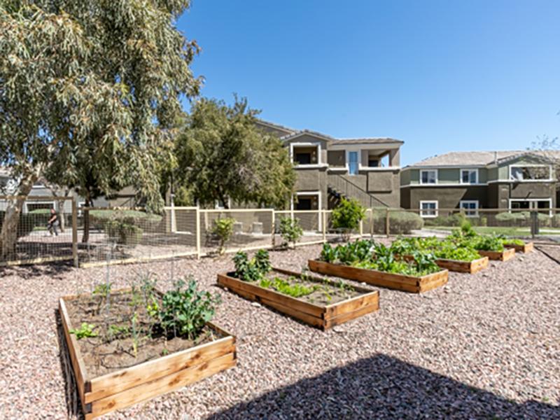 Garden | Silver Creek