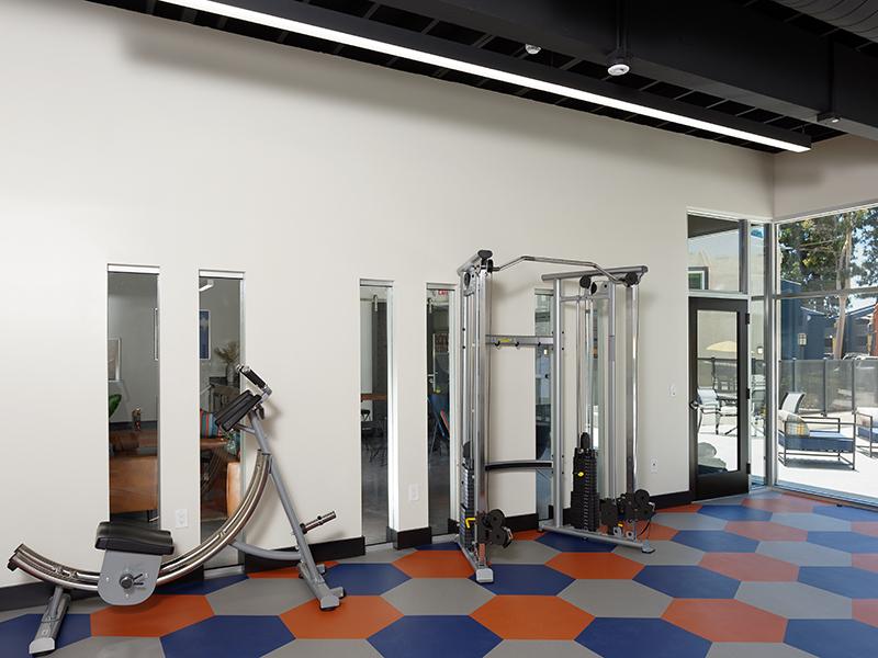 Gym | Horizon