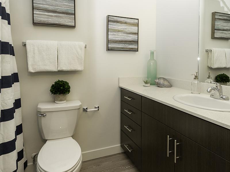 Bathroom | Paxton 365 Apartments