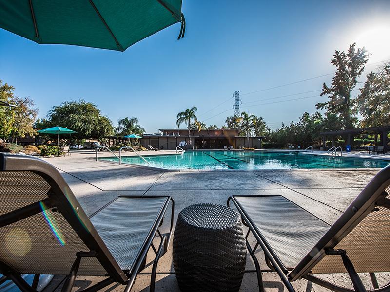 Swimming Pool | The Eleven Hundred Apartments in Sacramento CA