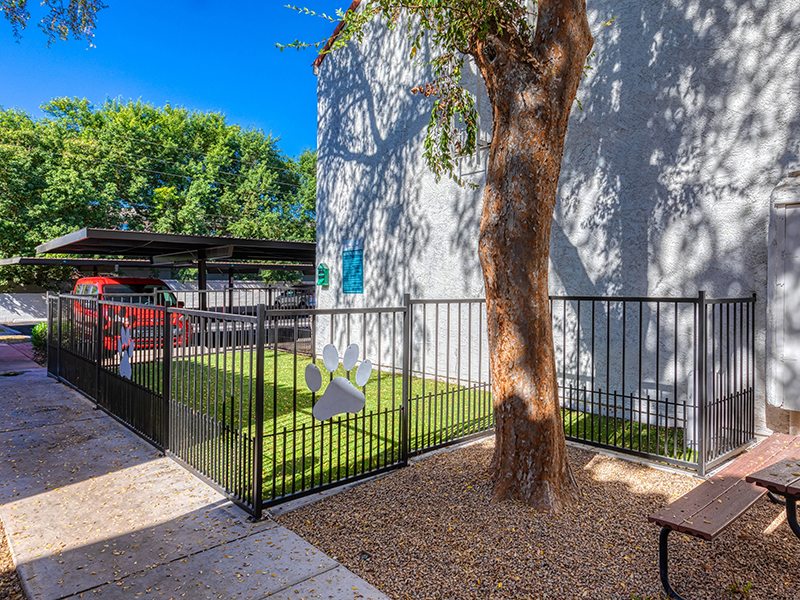 Bark Park | Park Paloma Apartments in Phoenix, AZ