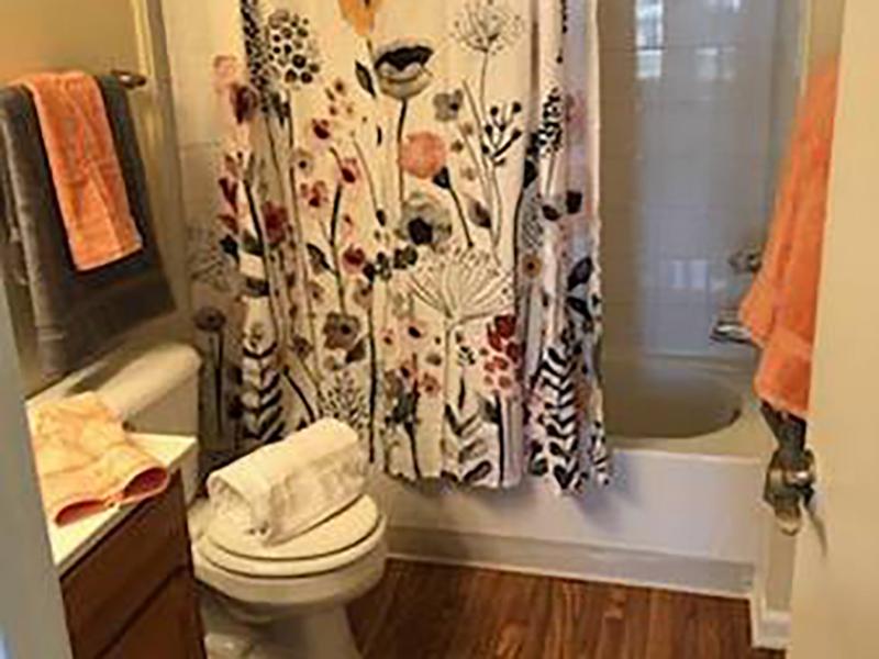 Model bathroom with tub shower, toilet and vanity sink at Bridgewater at Town Center Apartments.