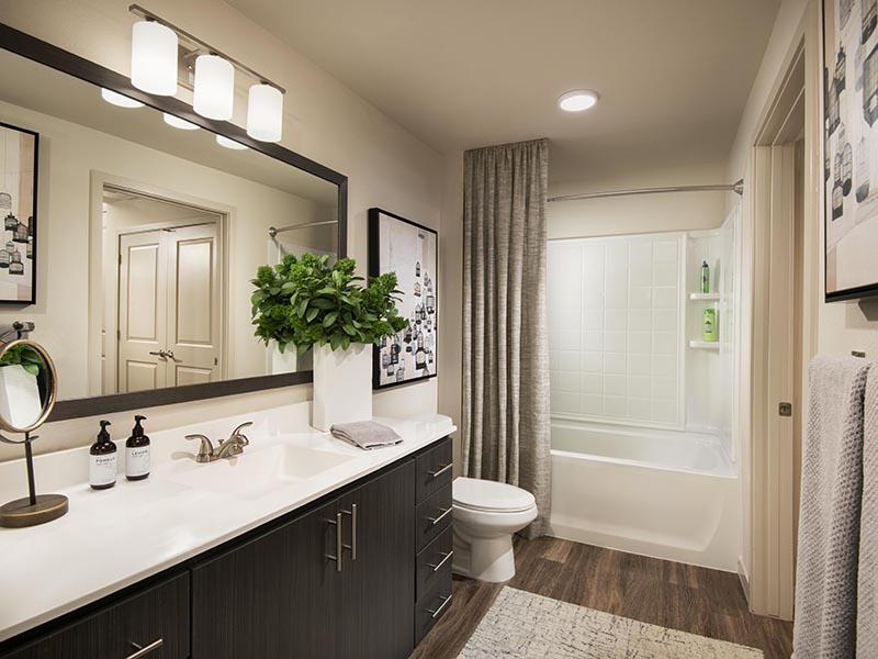 Bathroom | Parc at South Mountain