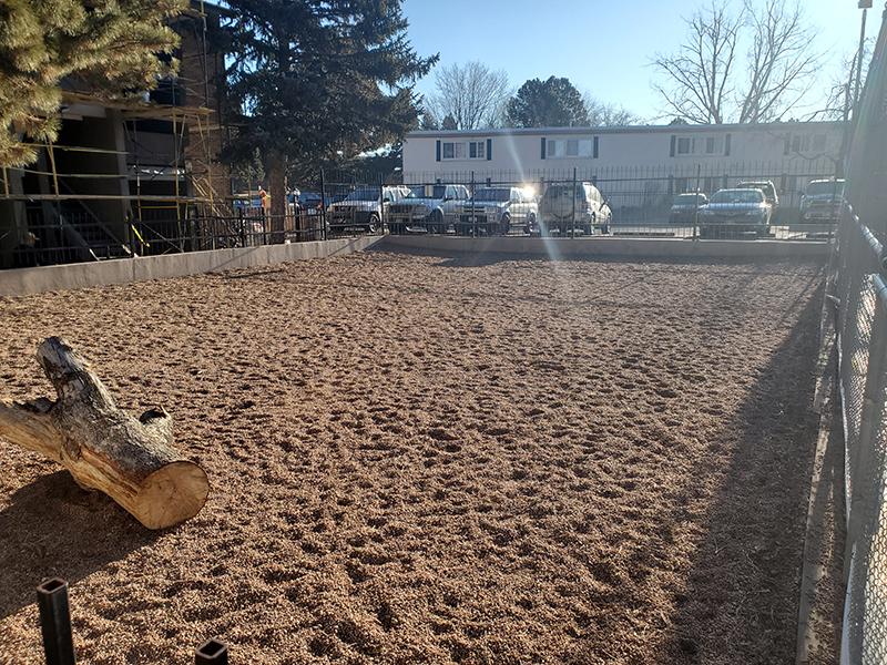 Dog Park | The Grove Apartments