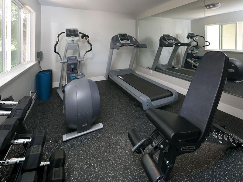 Gym | Vivante Apartments
