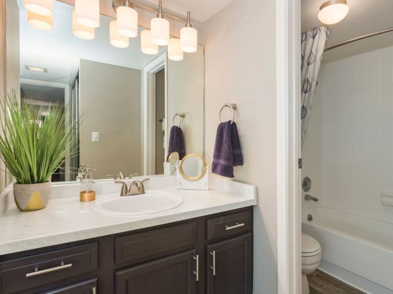 Bathroom | The Preserve at City Center Aurora Apartments