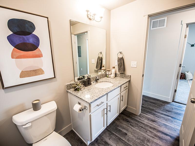 Bathroom | Springs at Copper Canyon