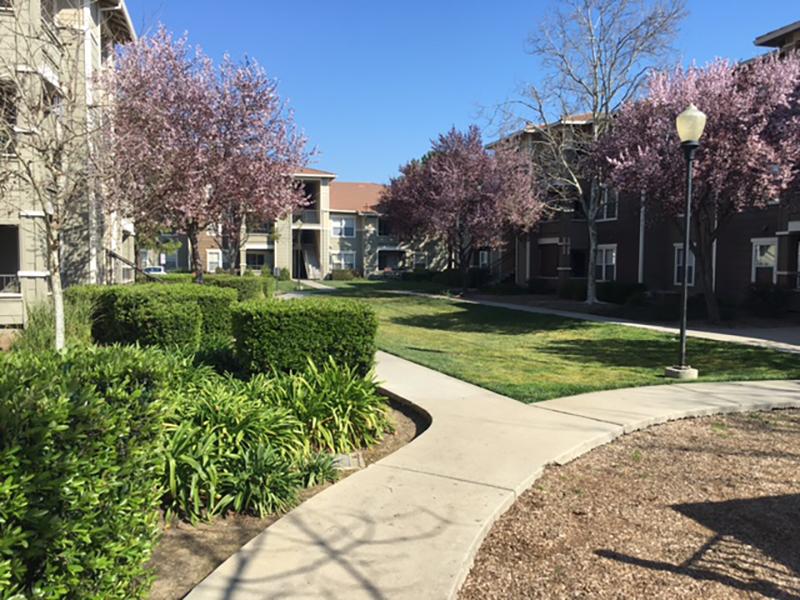 Alhambra at Mace Ranch Apartments California Davis