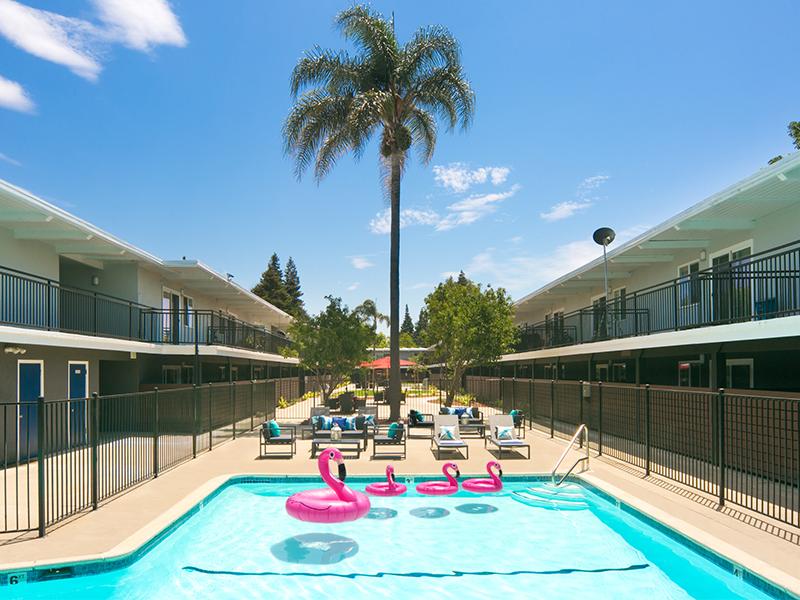 Pool | Aloha Apartments