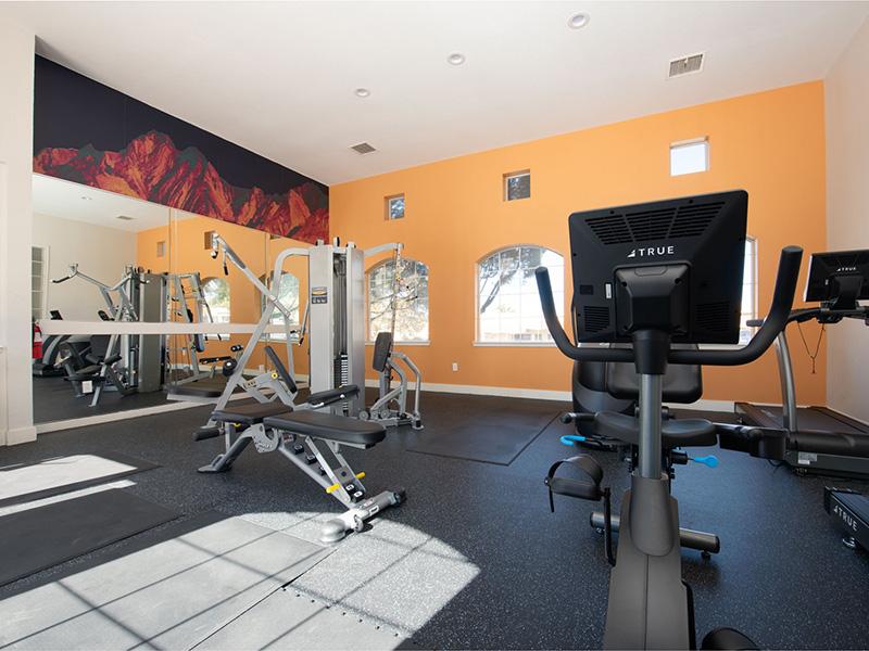 Gym | The Enclave