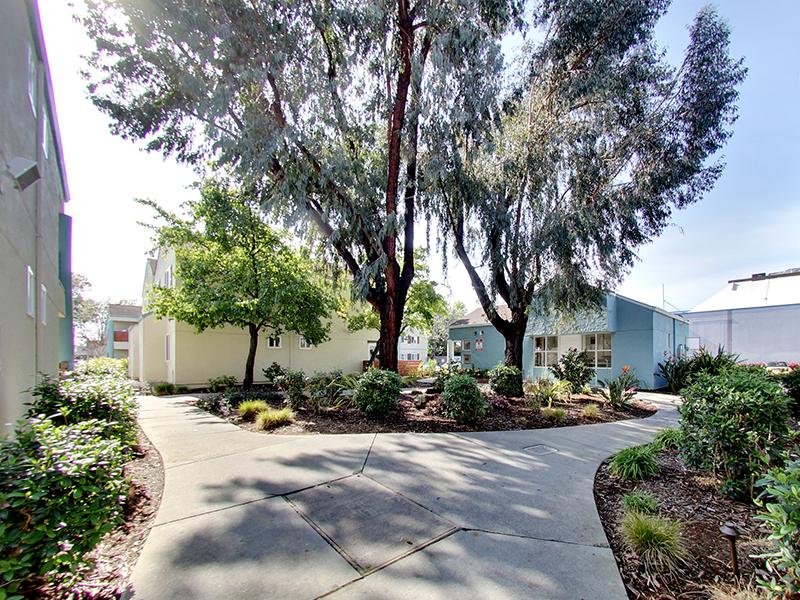 Walking Paths | Hampshire Apartments in Redwood City, CA