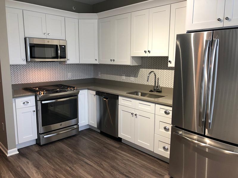 Upgraded Kitchen | River Run at Naperville