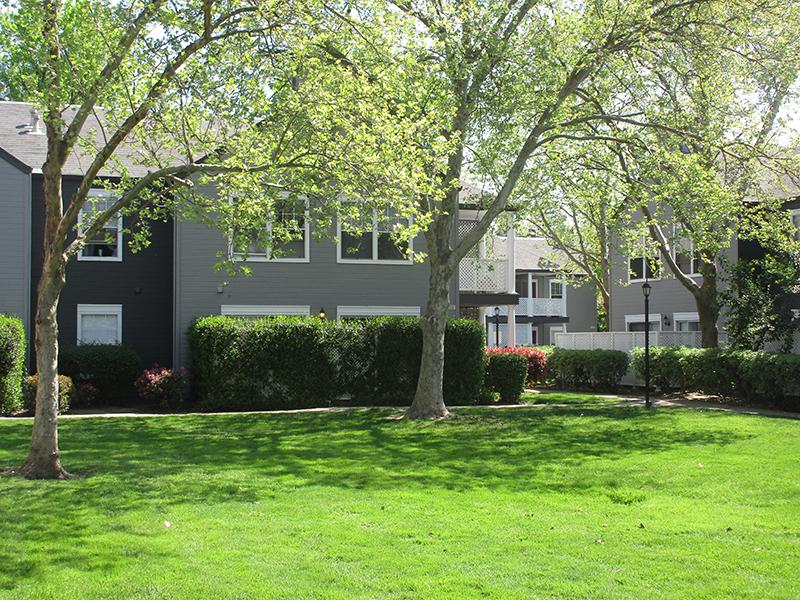 Beautiful Landscaping | The Charleston Apartments
