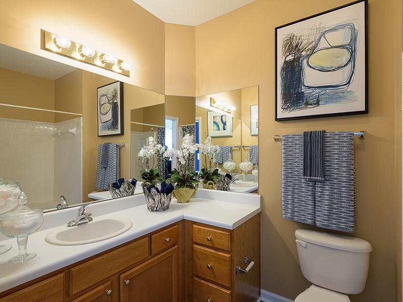 The bathroom in the apartments at Colton Creek has an L-shaped storage vanity with a sink.