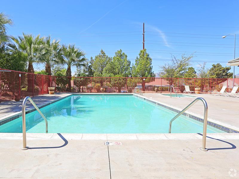 Pool | Oasis Palms Luxury Apartment Community