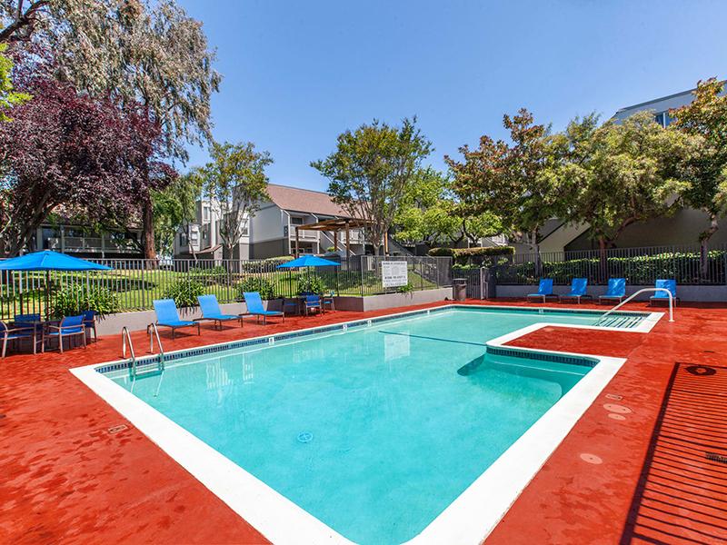 Swimming Pool | The Timbers Apartments in Hayward, CA