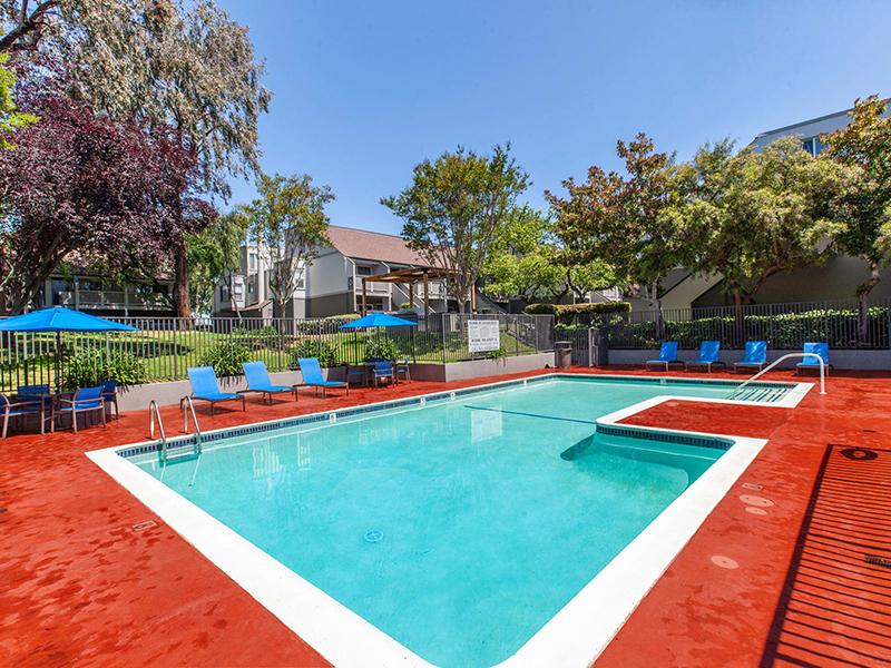 Swimming Pool | The Timbers Apartments in Hayward, CA