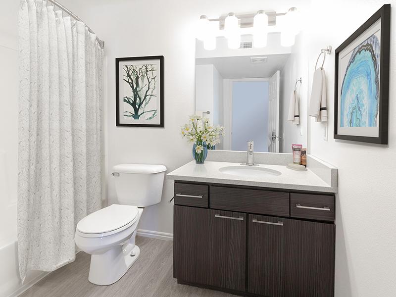 Bathroom | Woodgate Apartments