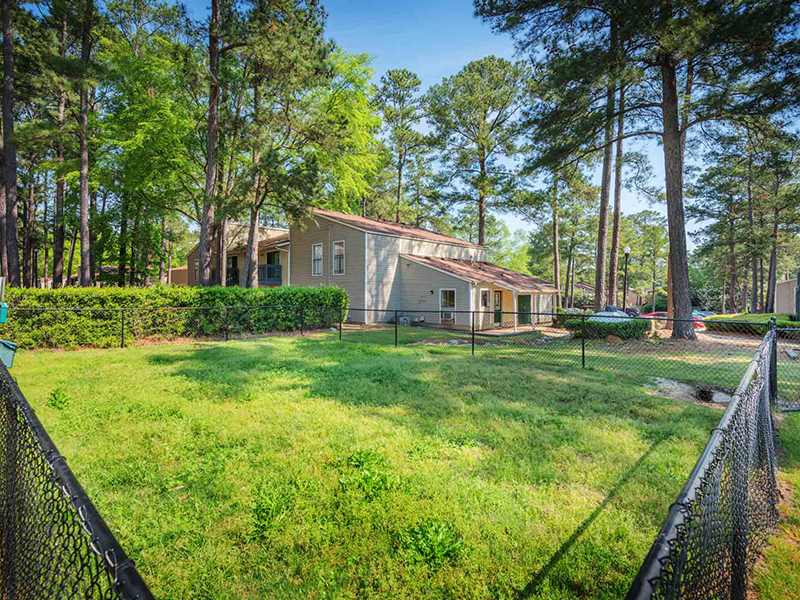 Dog Park | The Park in Columbia, SC