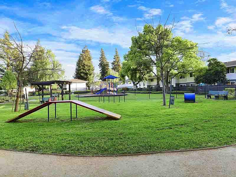 Pet Park | Camden Village Apartments