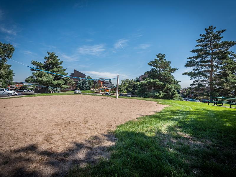 Volleyball Court | Ascend at Red Rocks Lakewood Apartments
