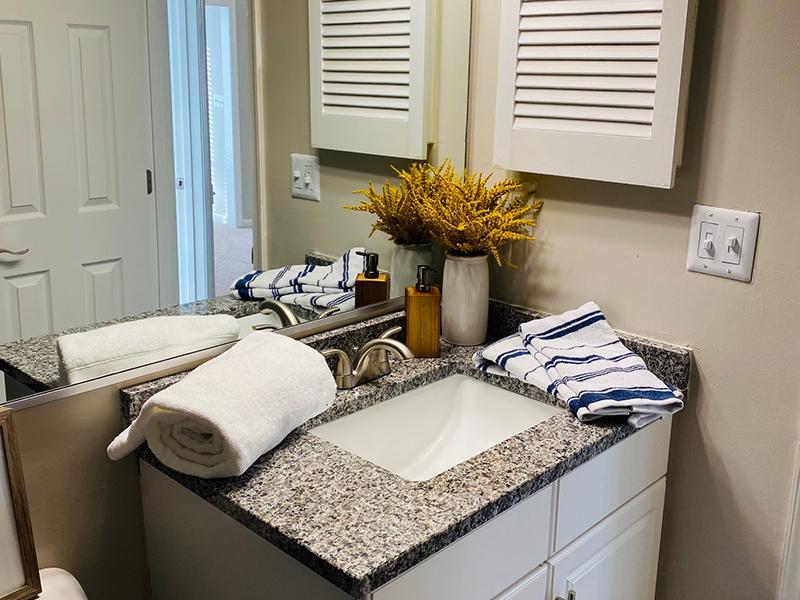 A mirrored vanity with a sink in an apartment bathroom at The Lakes at Town Center Apartments.